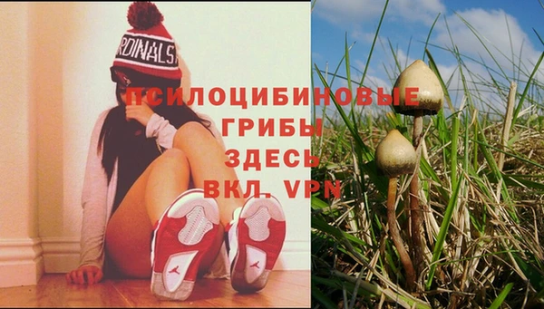 скорость Инсар